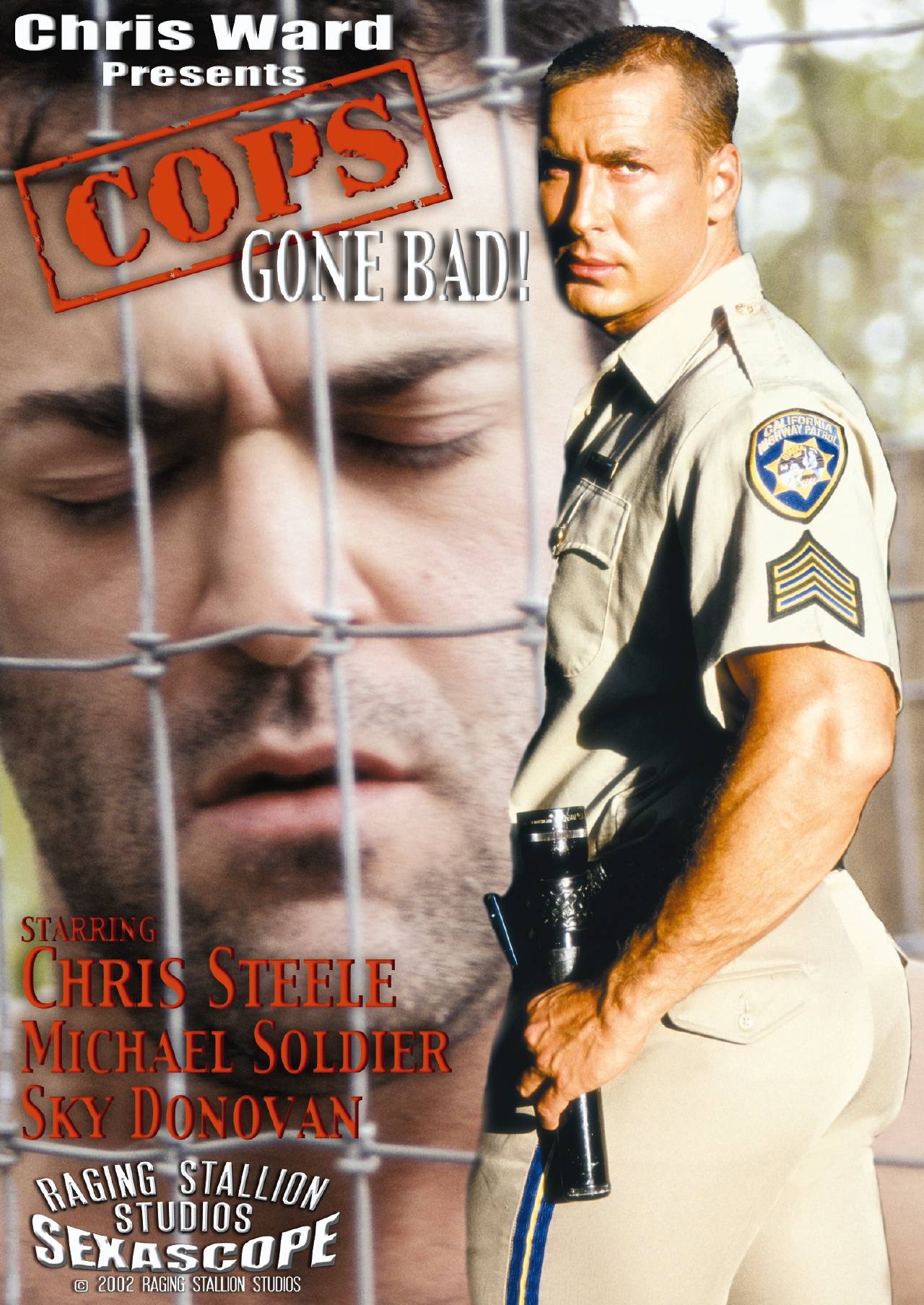 Cops Gone Bad! filmaffisch