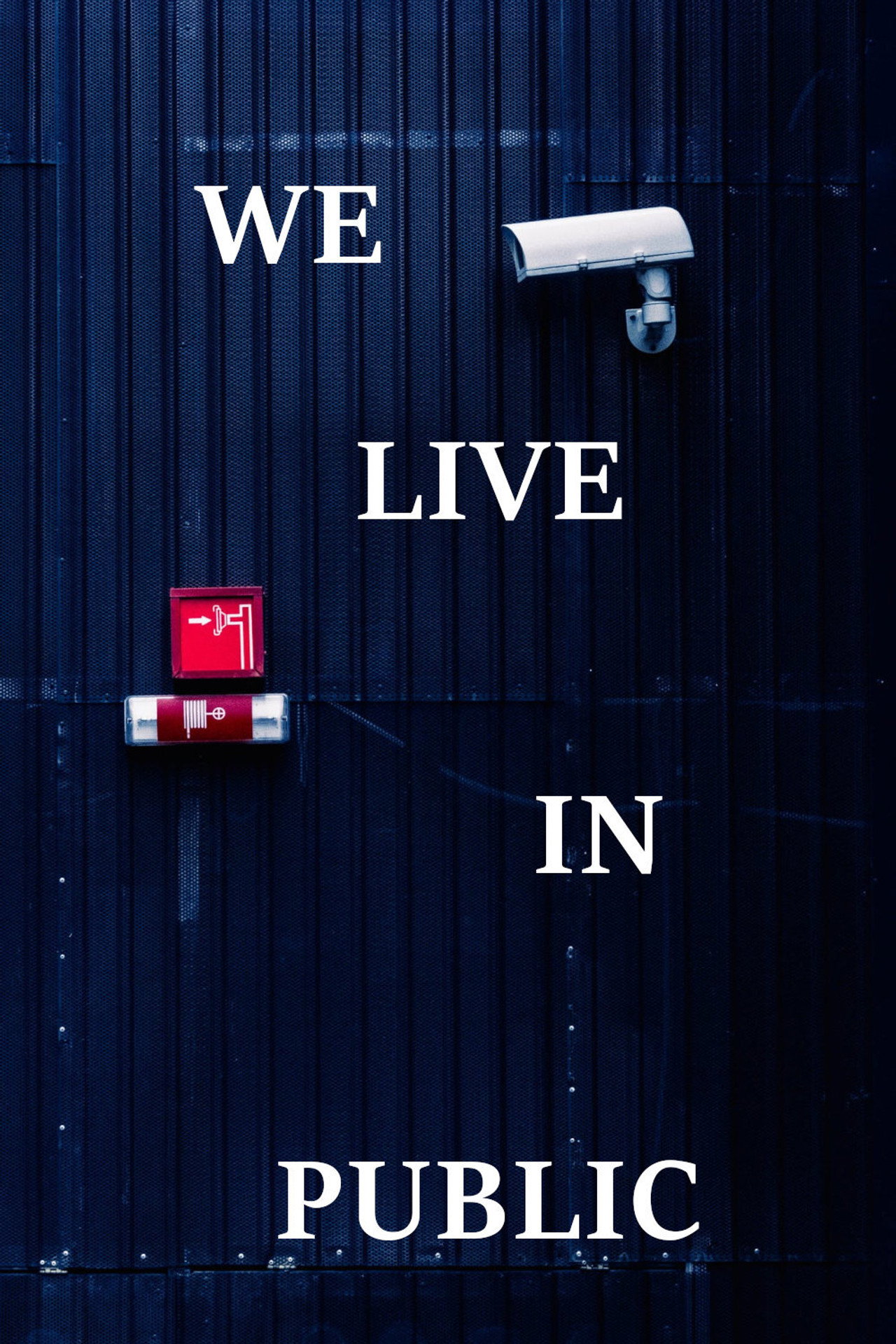 We Live in Public – plakát 5