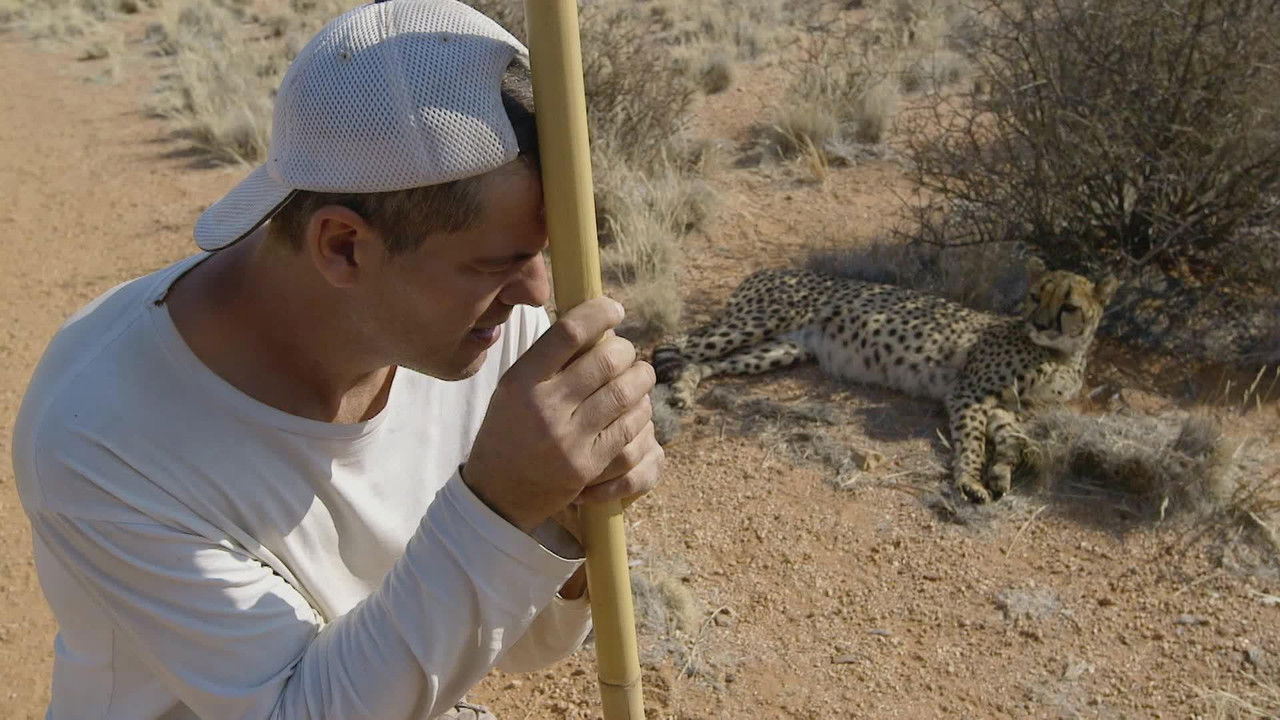 Wild Frank — Épisode 3