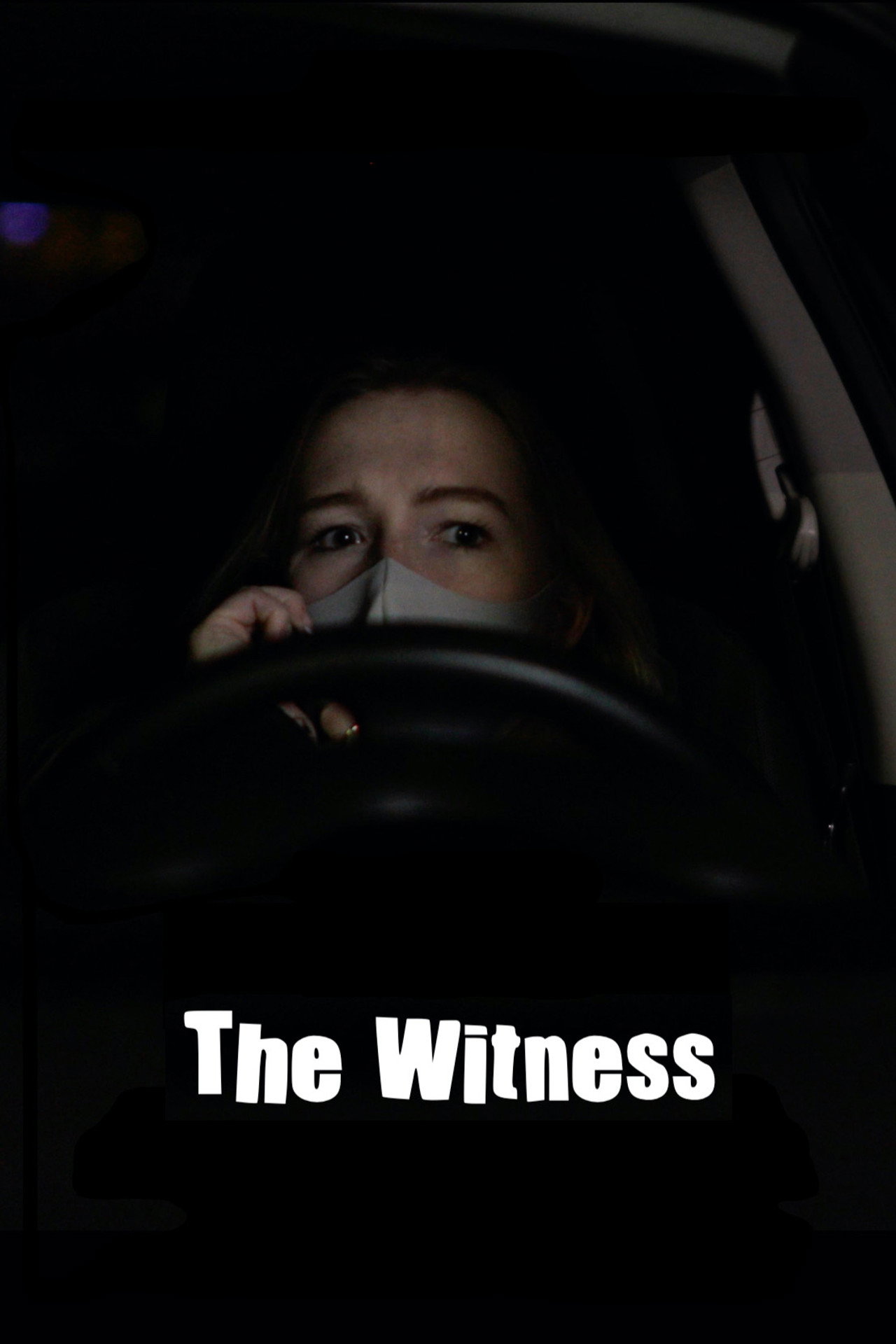 The Witness filmaffisch