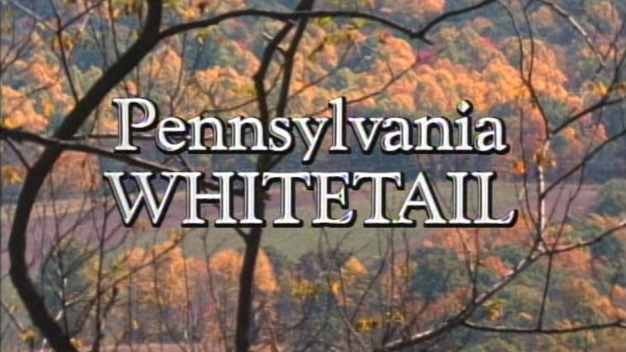 Marty Stouffer's Wild America — Épisode 1