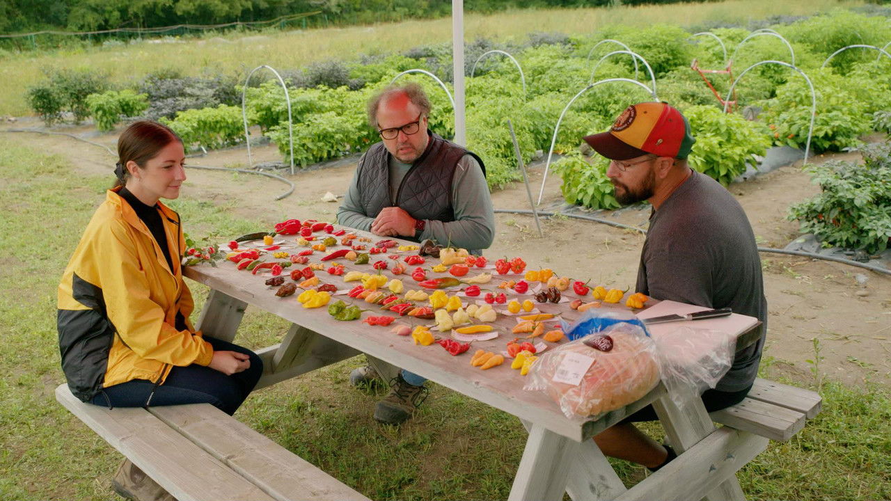 Un chef à la cabane — Épisode 3