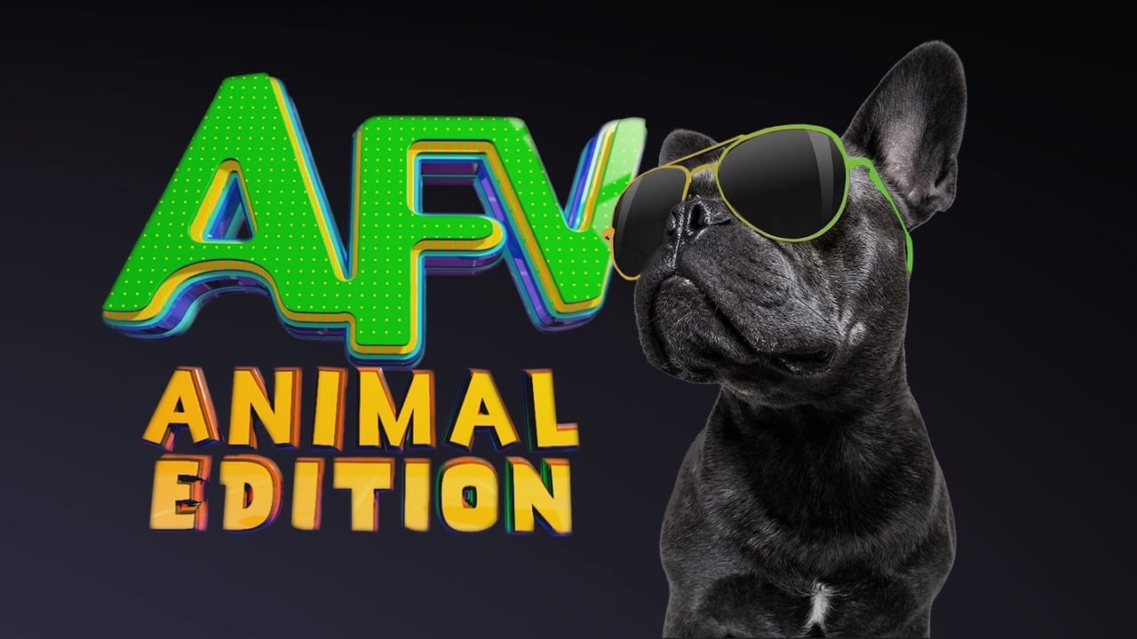 America's Funniest Home Videos: Animal Edition background