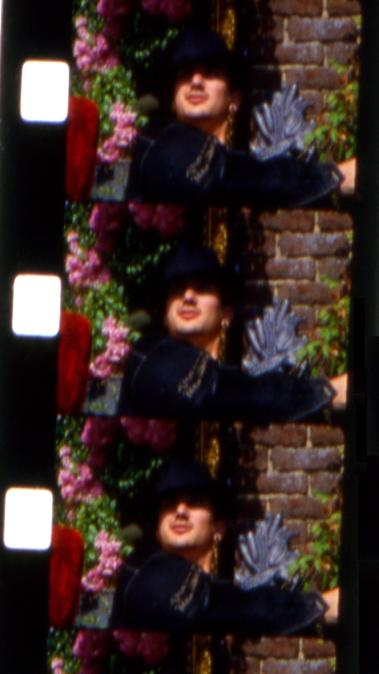 Les jardins de la Barrueca filmaffisch