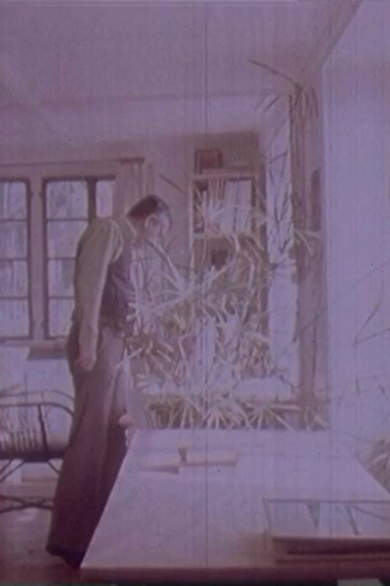 Robert Walser Backdrop