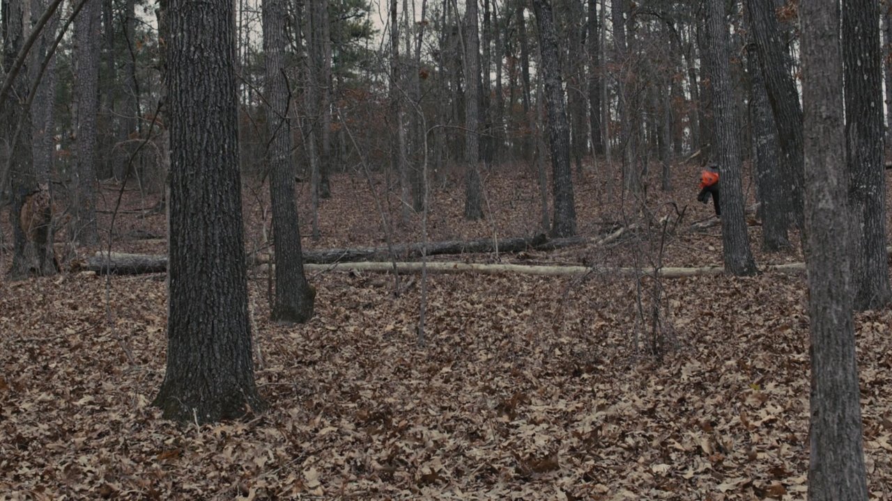 title image