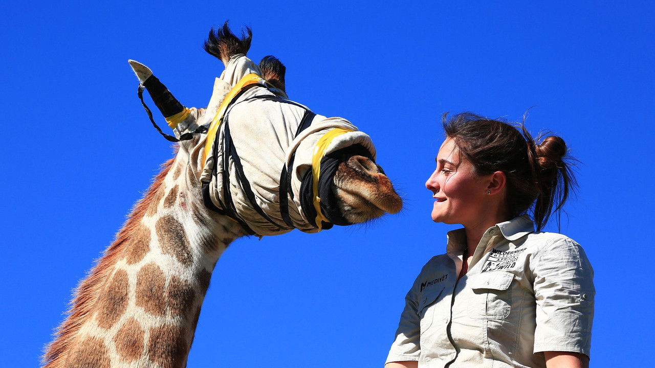 Work on the Wild Side — Épisode 3