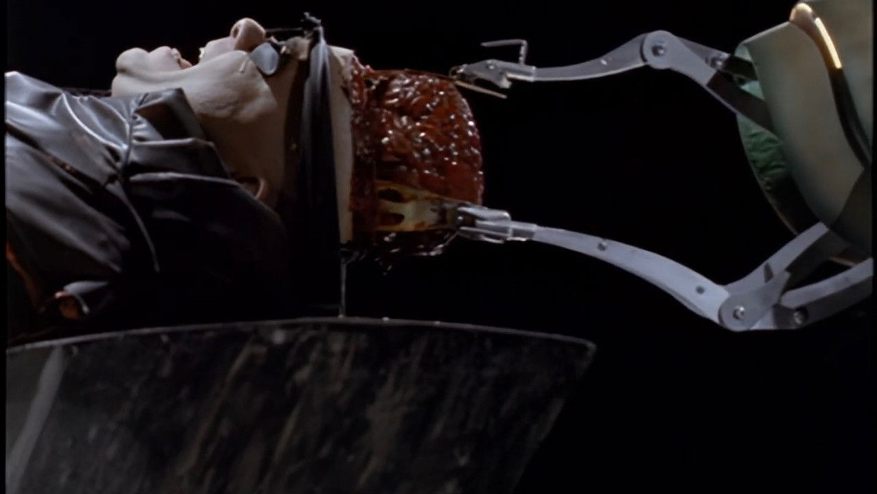 I Worship His Shadow backdrop