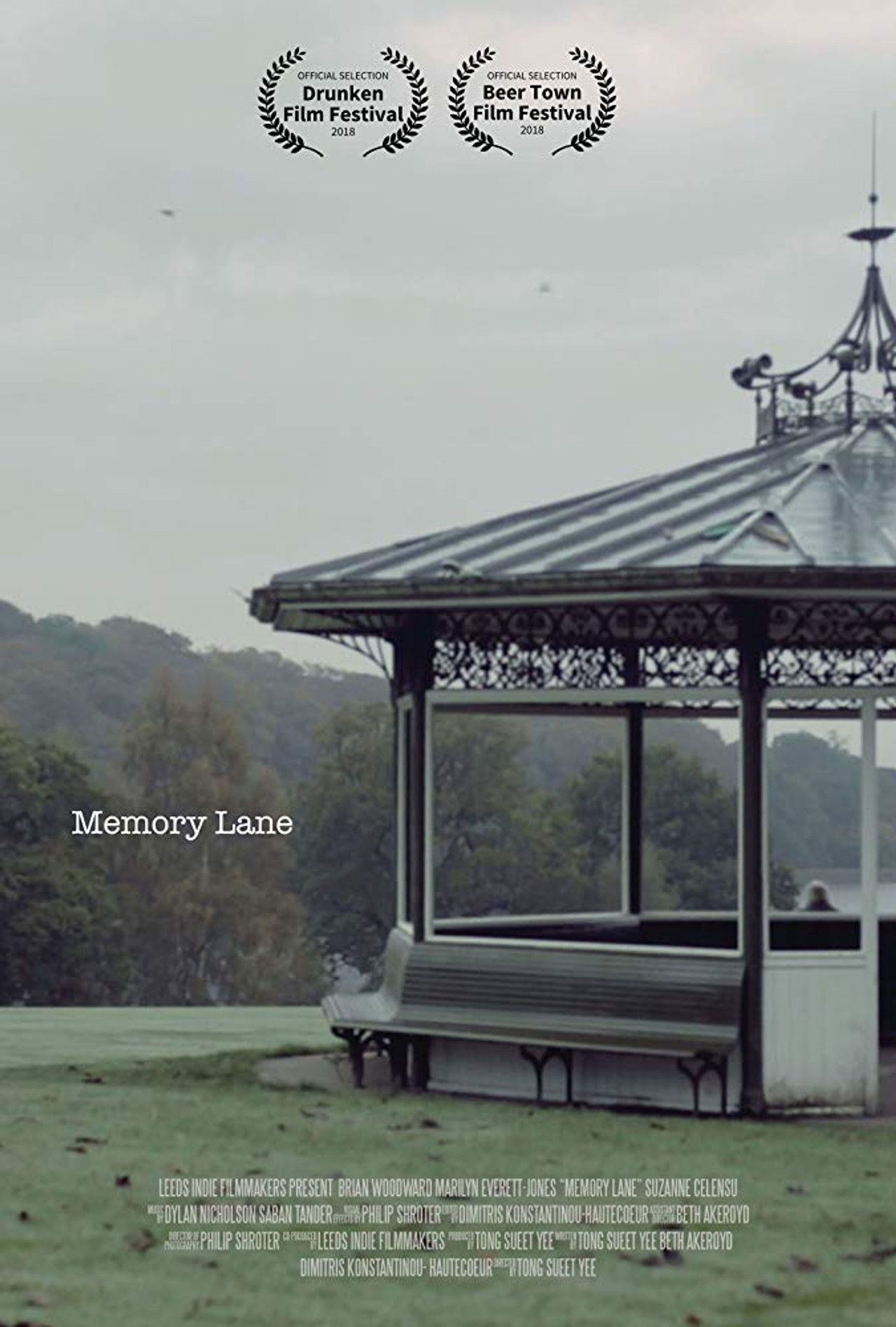 Memory Lane Backdrop