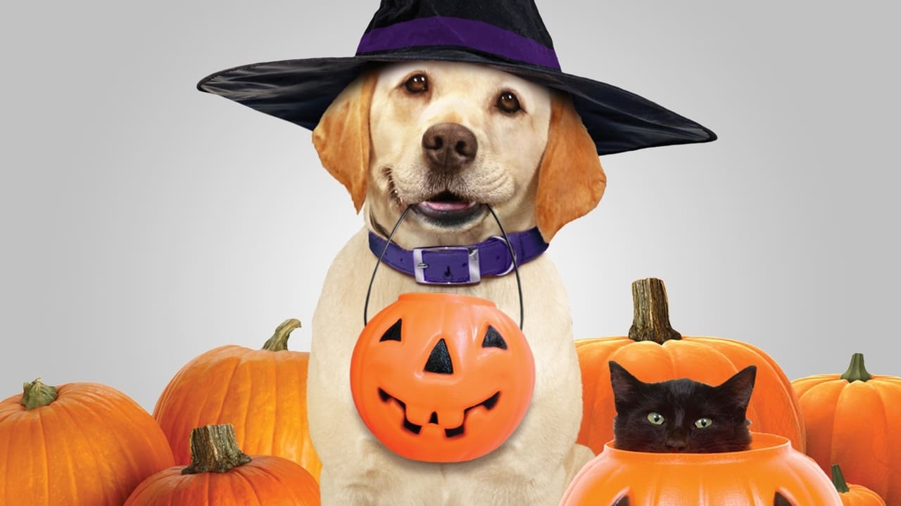 The Dog Who Saved Halloween Backdrop Image