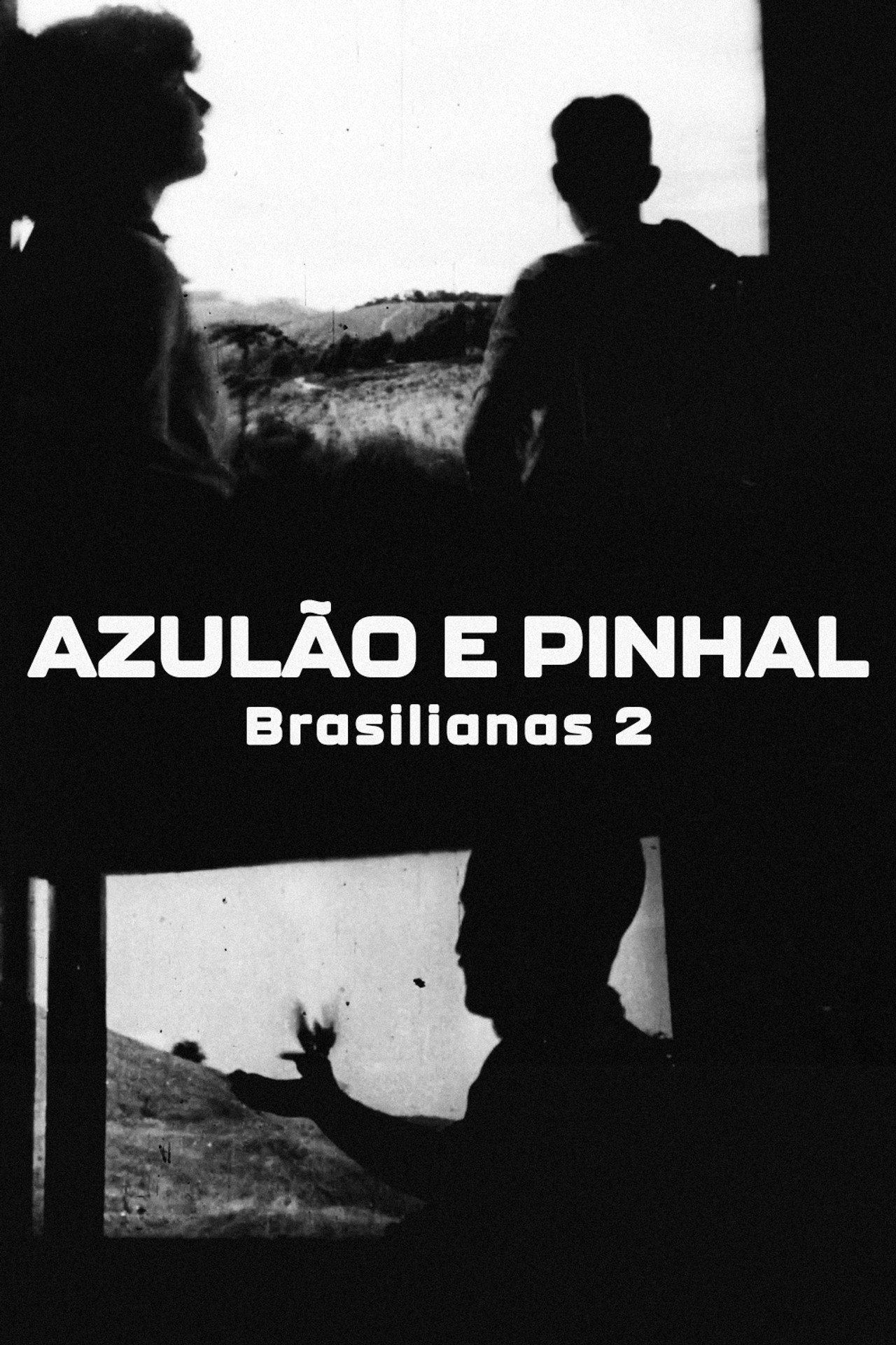Azulão e Pinhal Backdrop