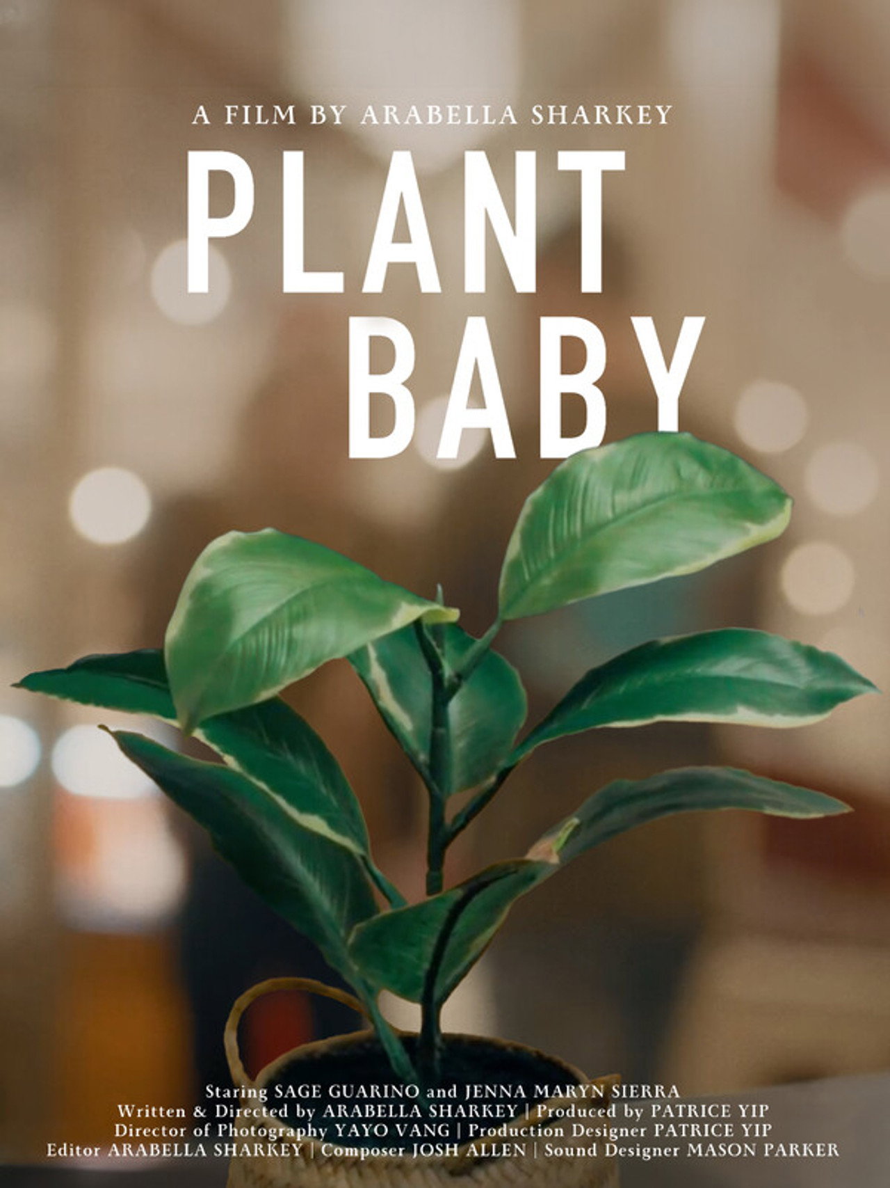 Plant Baby Backdrop