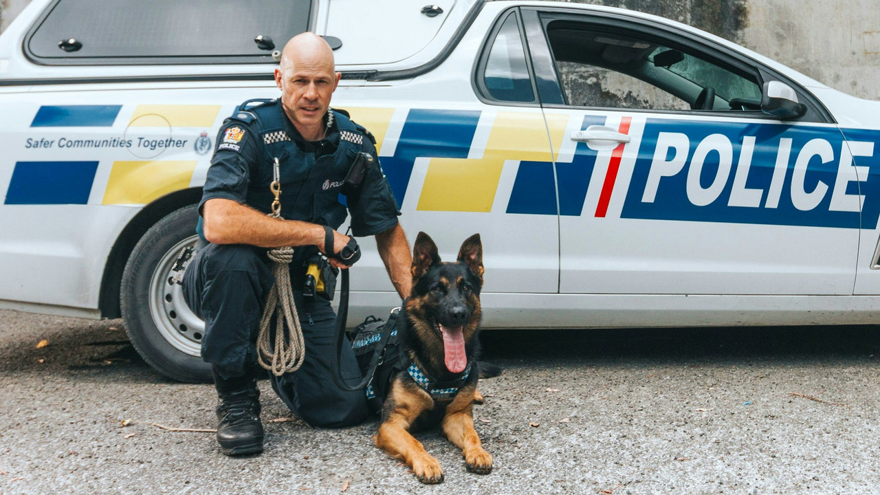 Dog Squad — Épisode 6