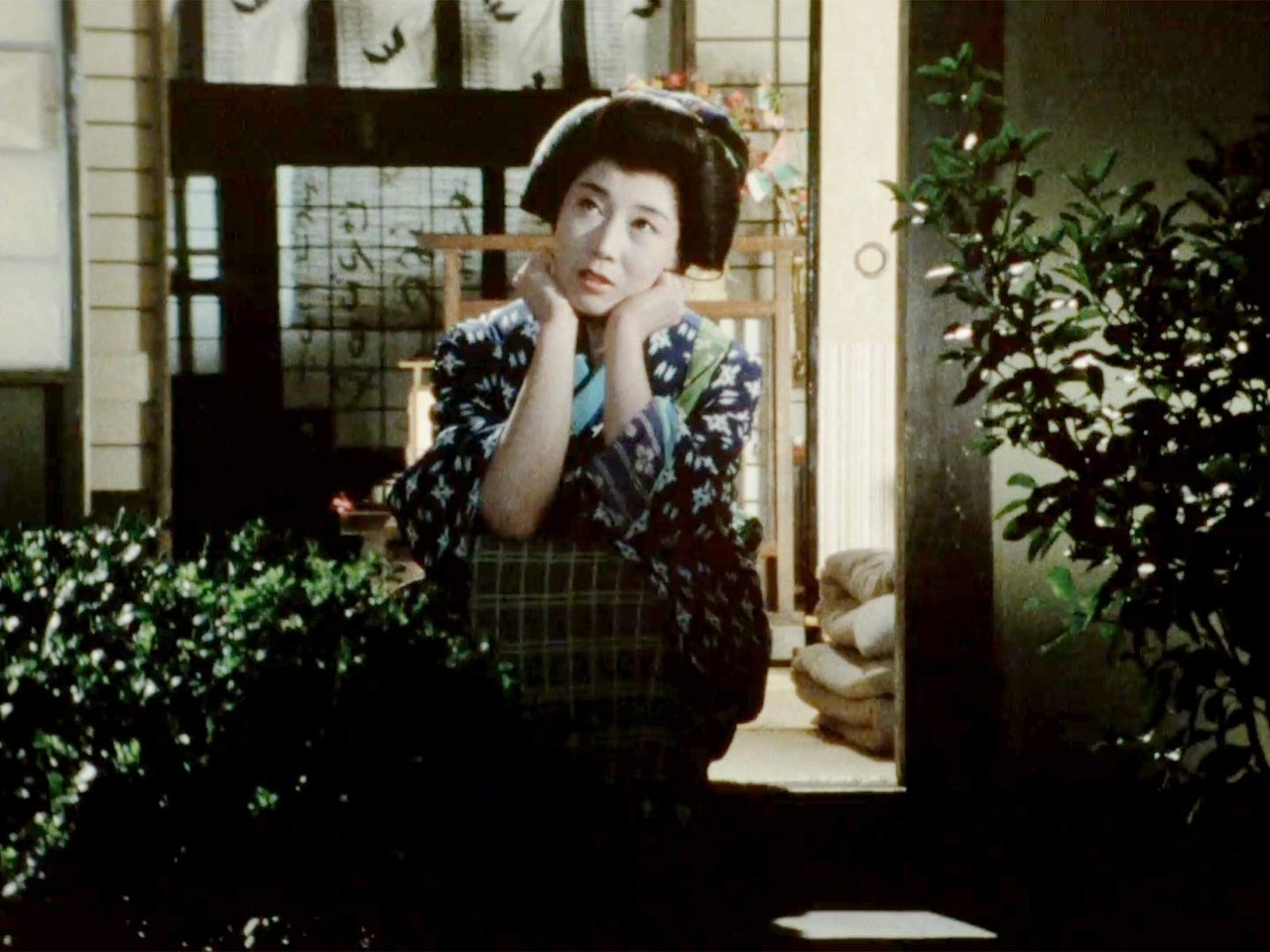 Hissatsu Shigotonin - Season 4 Episode 36 : Episode 36