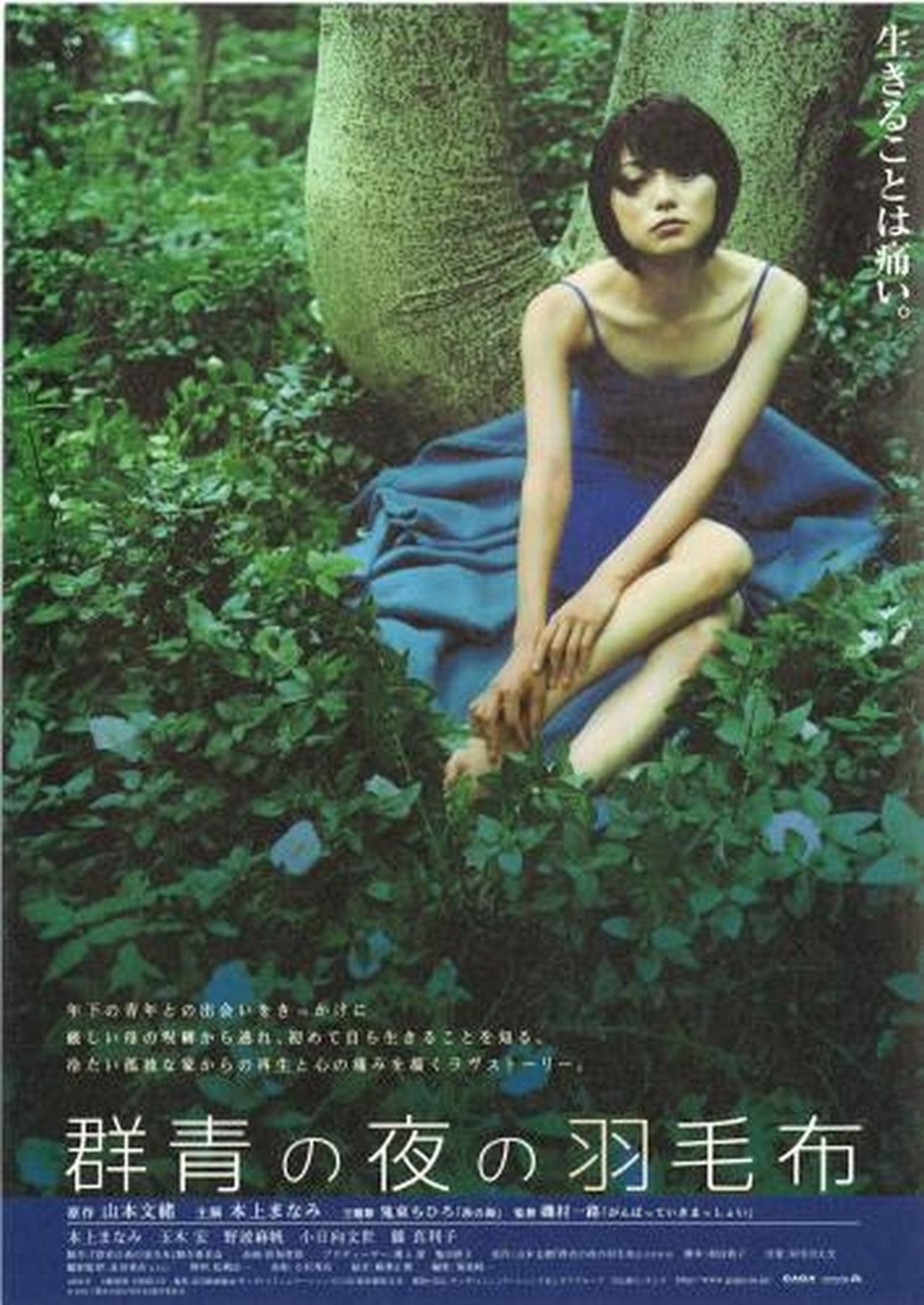 مشاهدة فيلم The Blue Blanket مترجم بدون اعلانات - بوستر