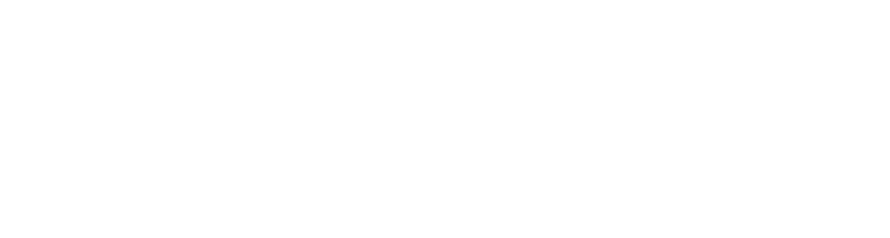 Нация Z