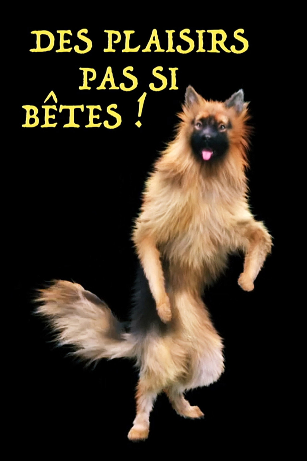 Des plaisirs pas si bêtes filmaffisch