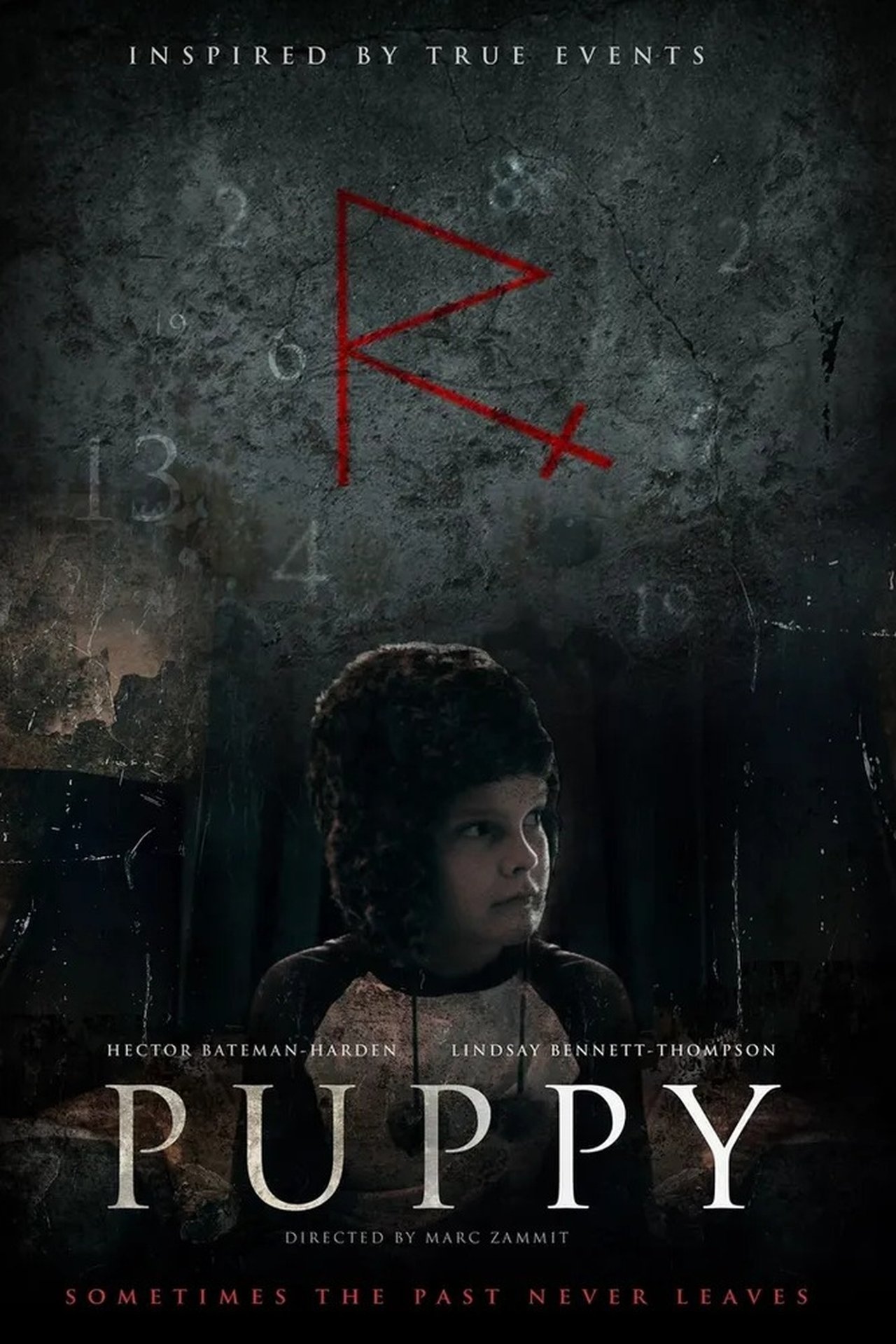 مشاهدة فيلم Puppy مترجم بدون اعلانات - بوستر