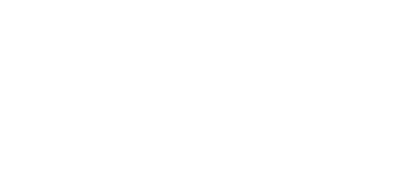 Little Brother