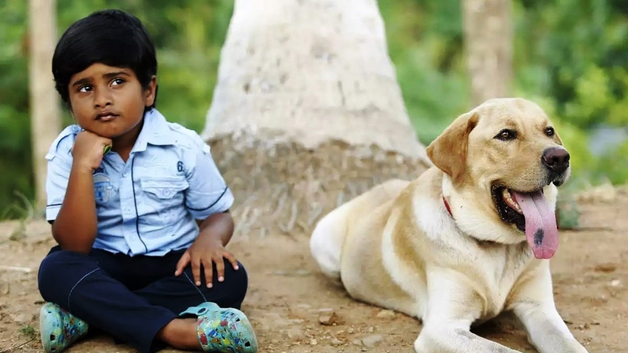 பௌவ் பௌவ் பௌவ் பௌவ்