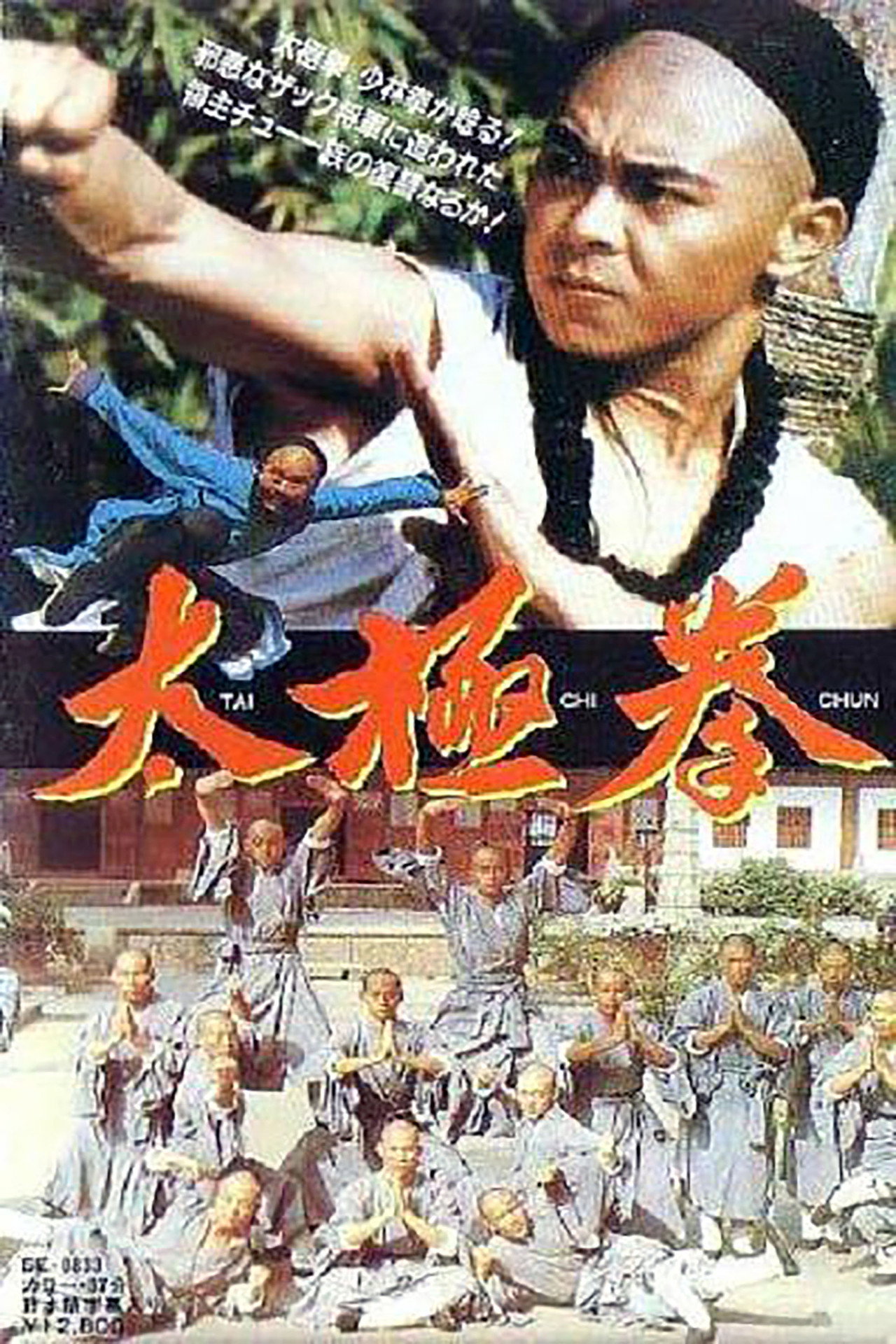 太极拳 filmaffisch
