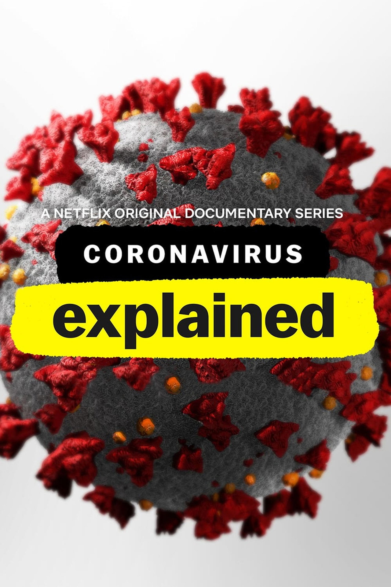 Coronavirus, Explained poster