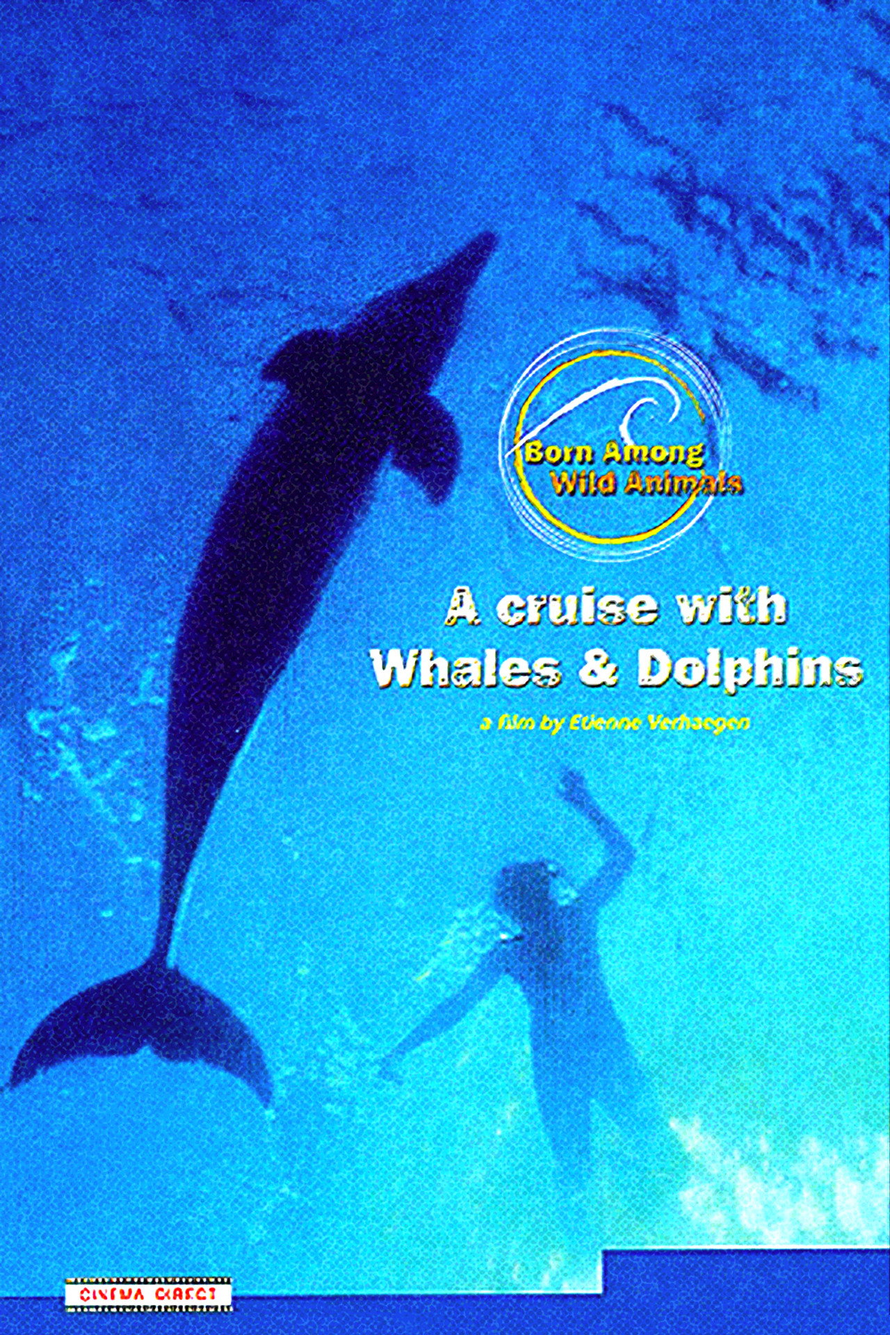 A Cruise with Whales and Dolphins Backdrop