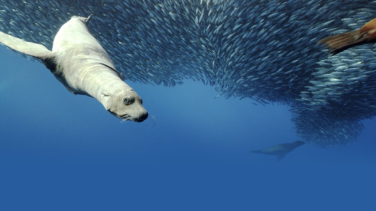 Spy in the Ocean, A Nature Miniseries