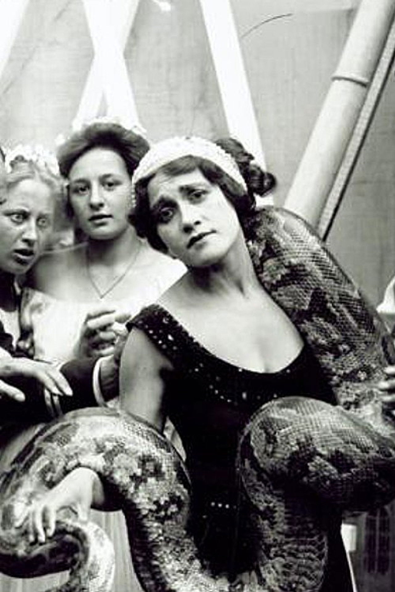 In a Den of Lions Backdrop