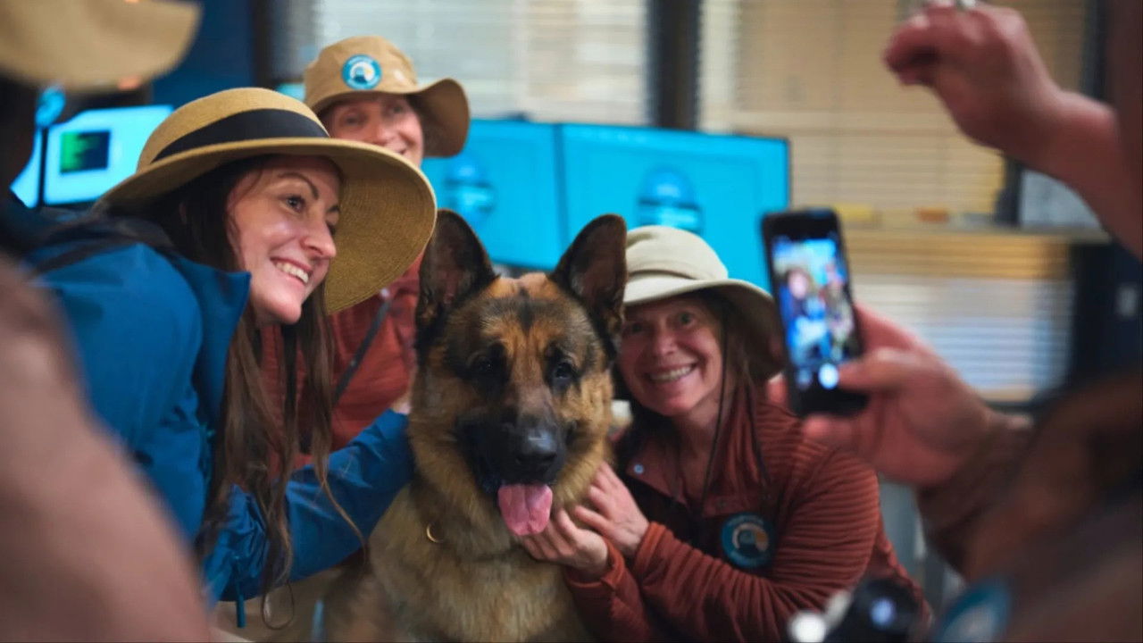 Hudson et Rex — Épisode 11