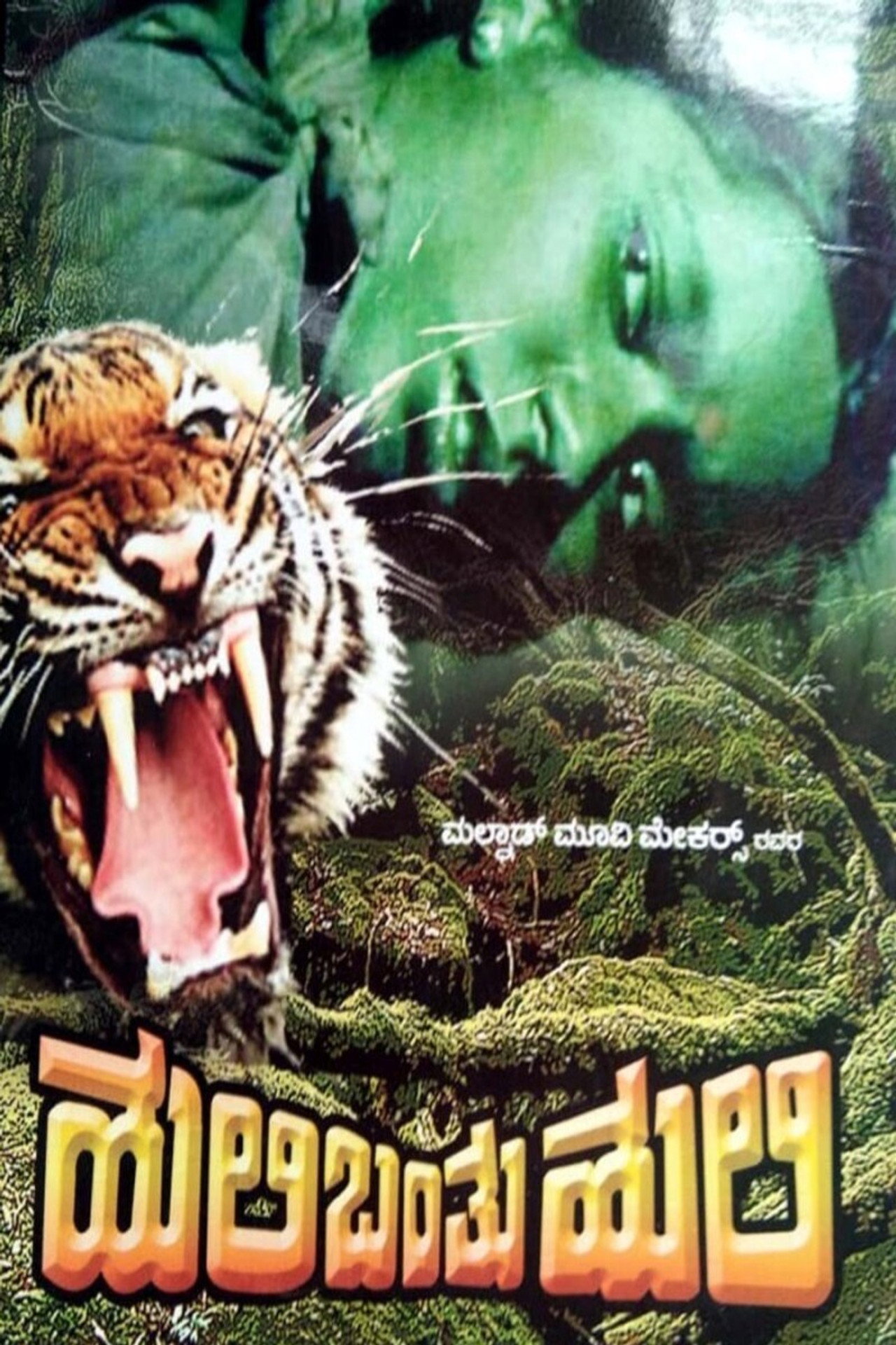 ಹುಲಿ ಬಂತು ಹುಲಿ filmaffisch