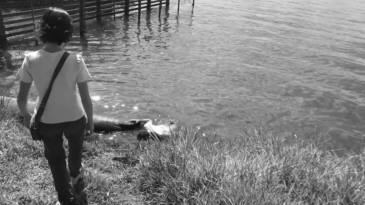 Stranger From the Lake