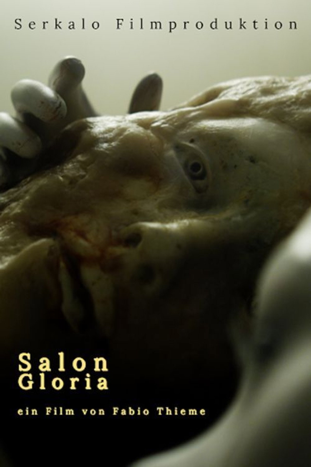 Salon Gloria filmaffisch