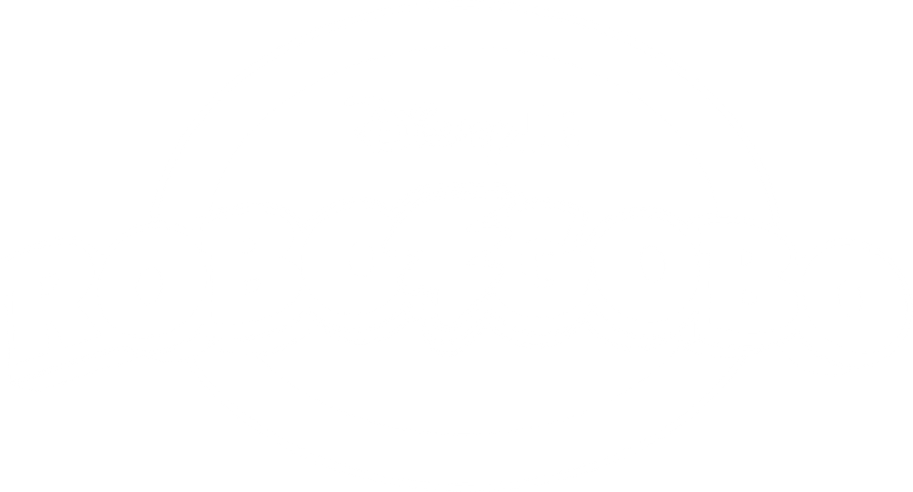 RoboGobo