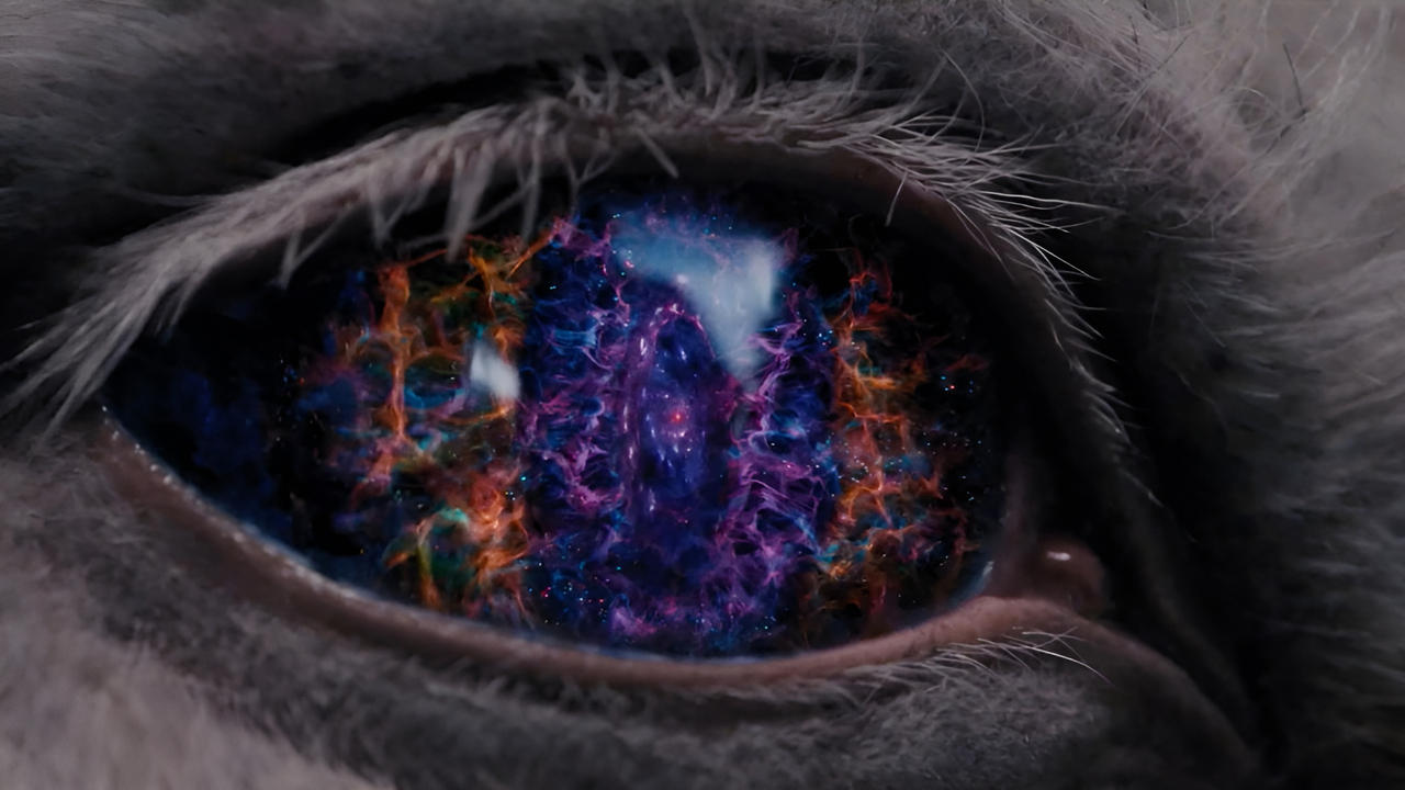 title image