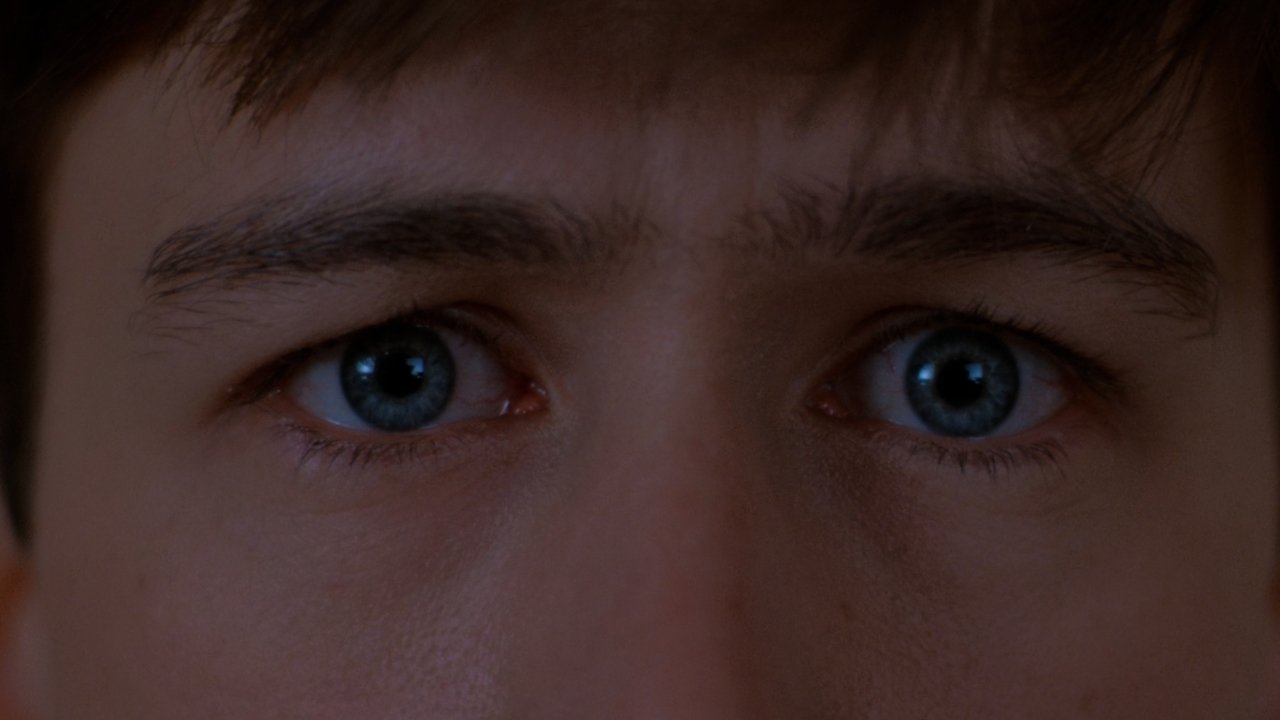 Ferris Bueller'le Bir Gün