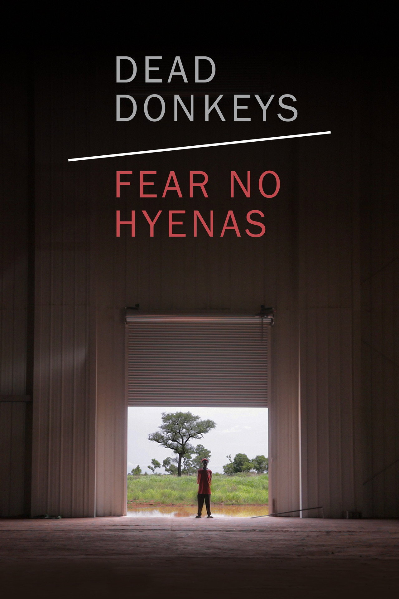 Dead Donkeys Fear No Hyenas filmaffisch