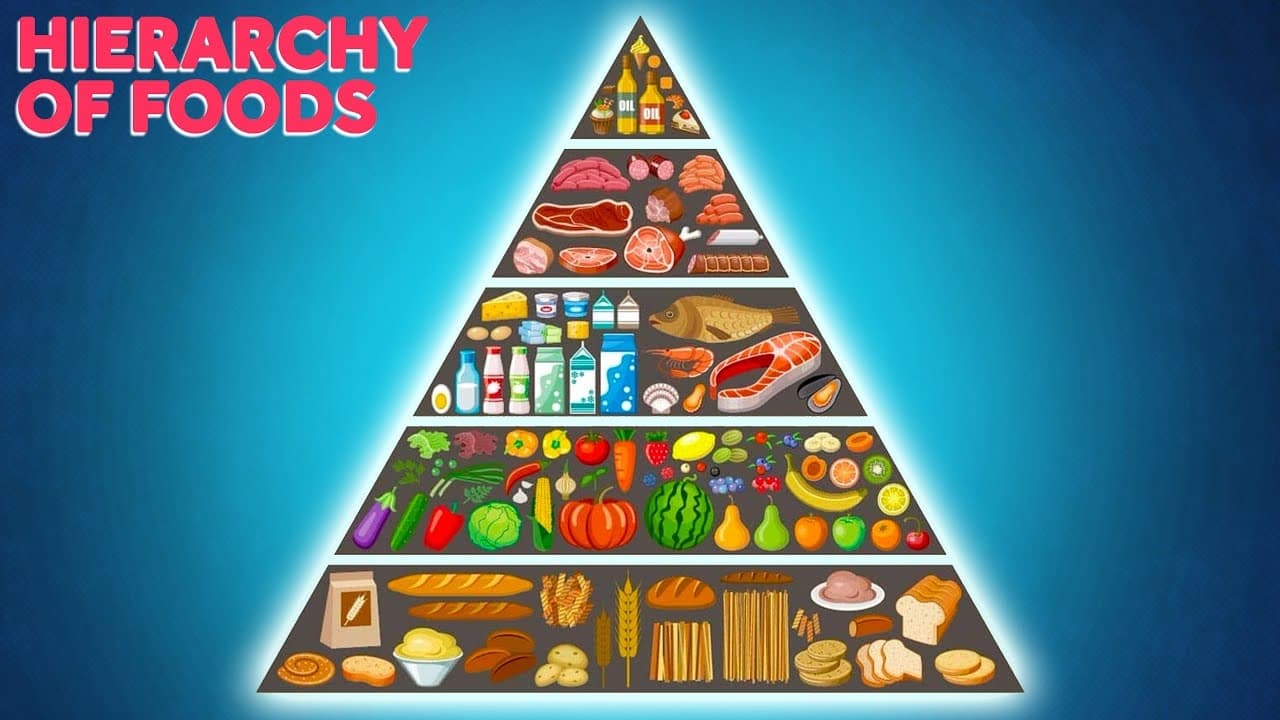 Weird History Food - Season 2 Episode 52 : How Big Business Built the Food Pyramid