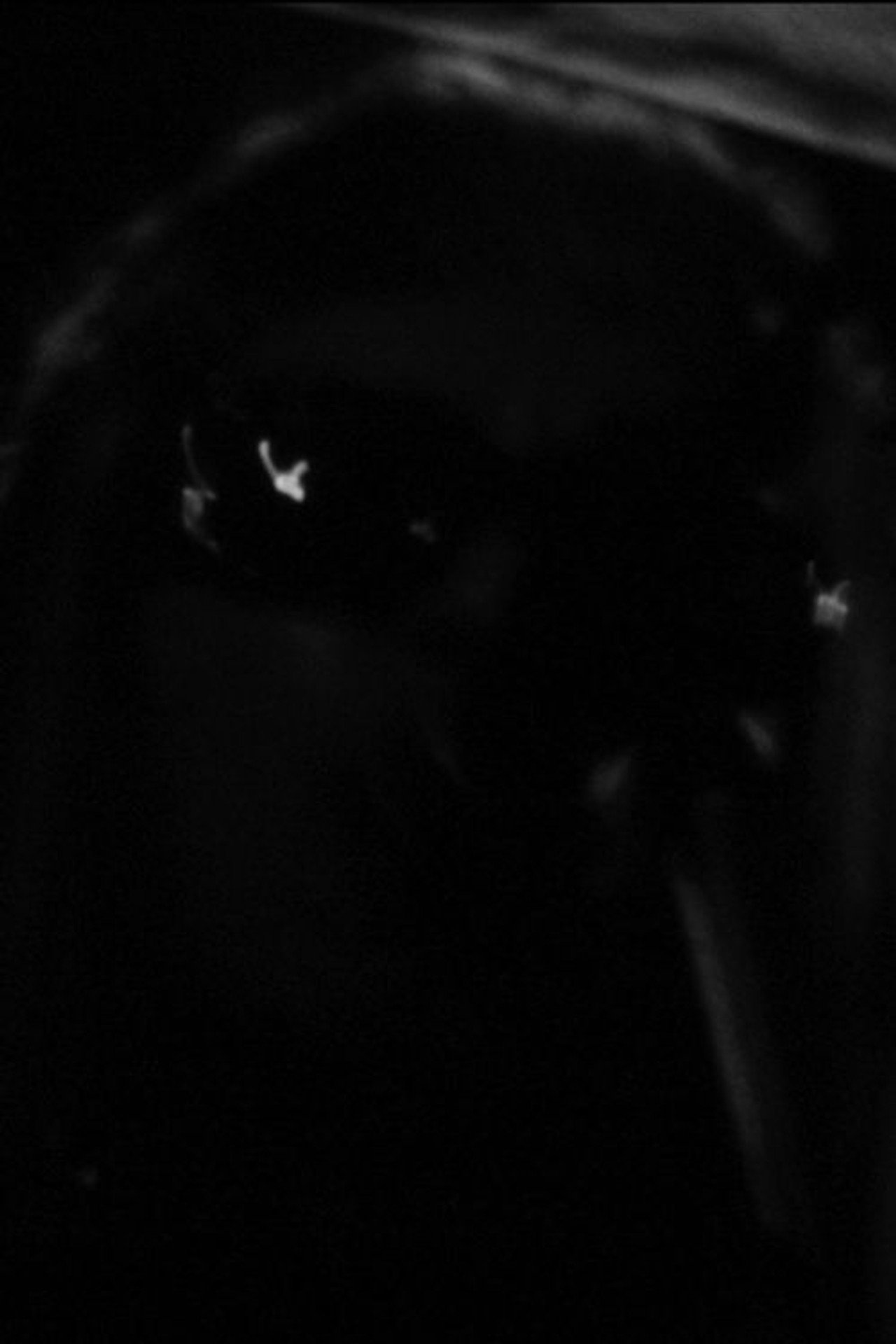 One Roll in the Blackness Backdrop