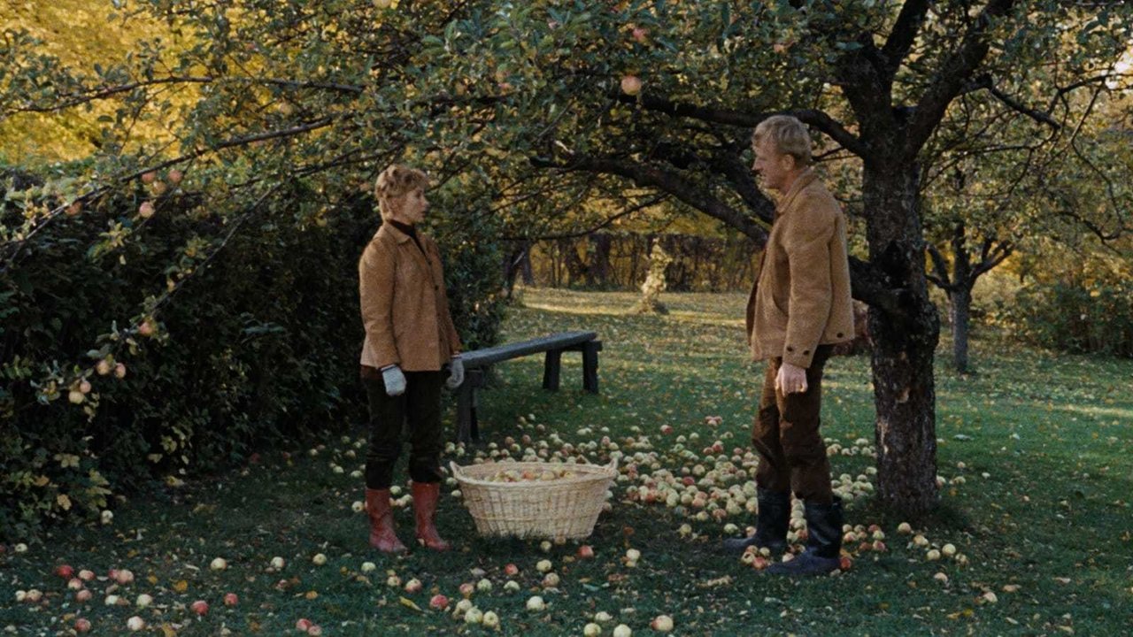 The Touch (1971)