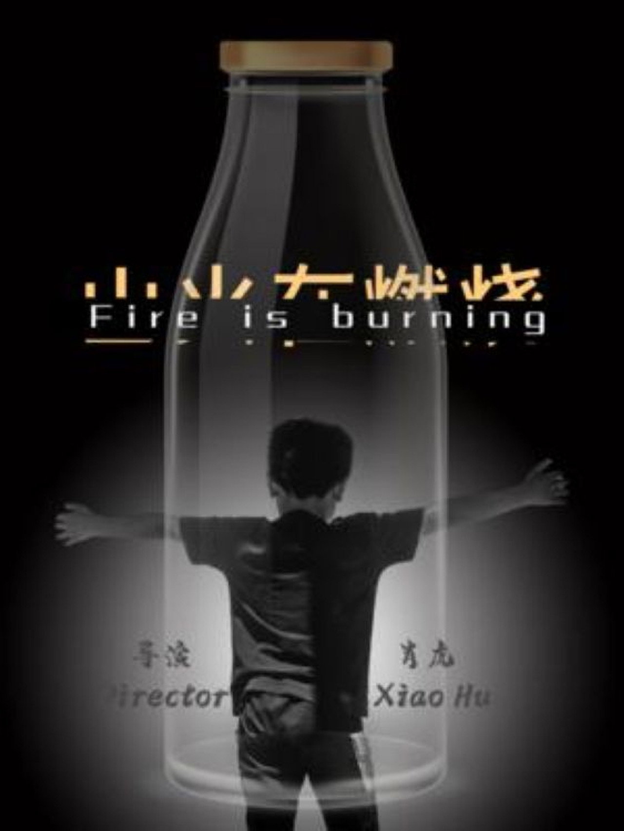 山火在燃烧 filmaffisch