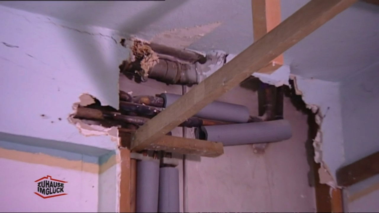 Zuhause im Glück – Unser Einzug in ein neues Leben — Épisode 14