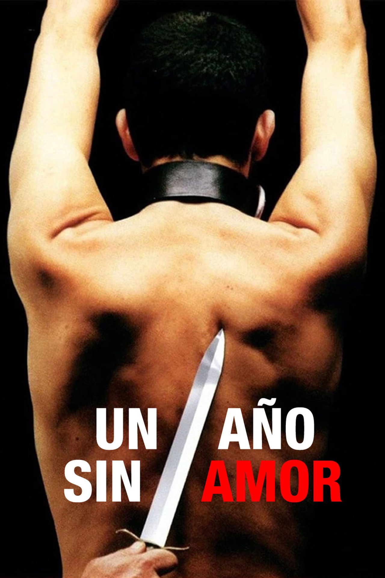 Un año sin amor filmaffisch