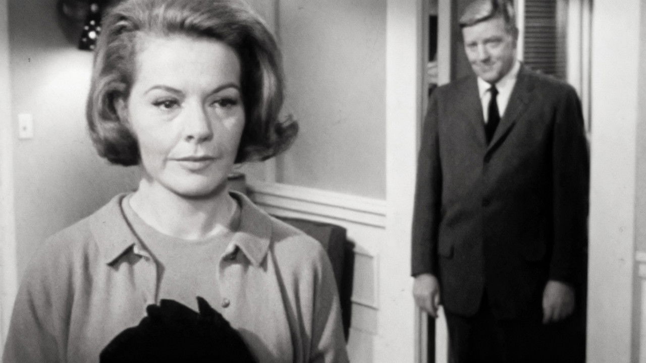 Peyton Place — Épisode 27