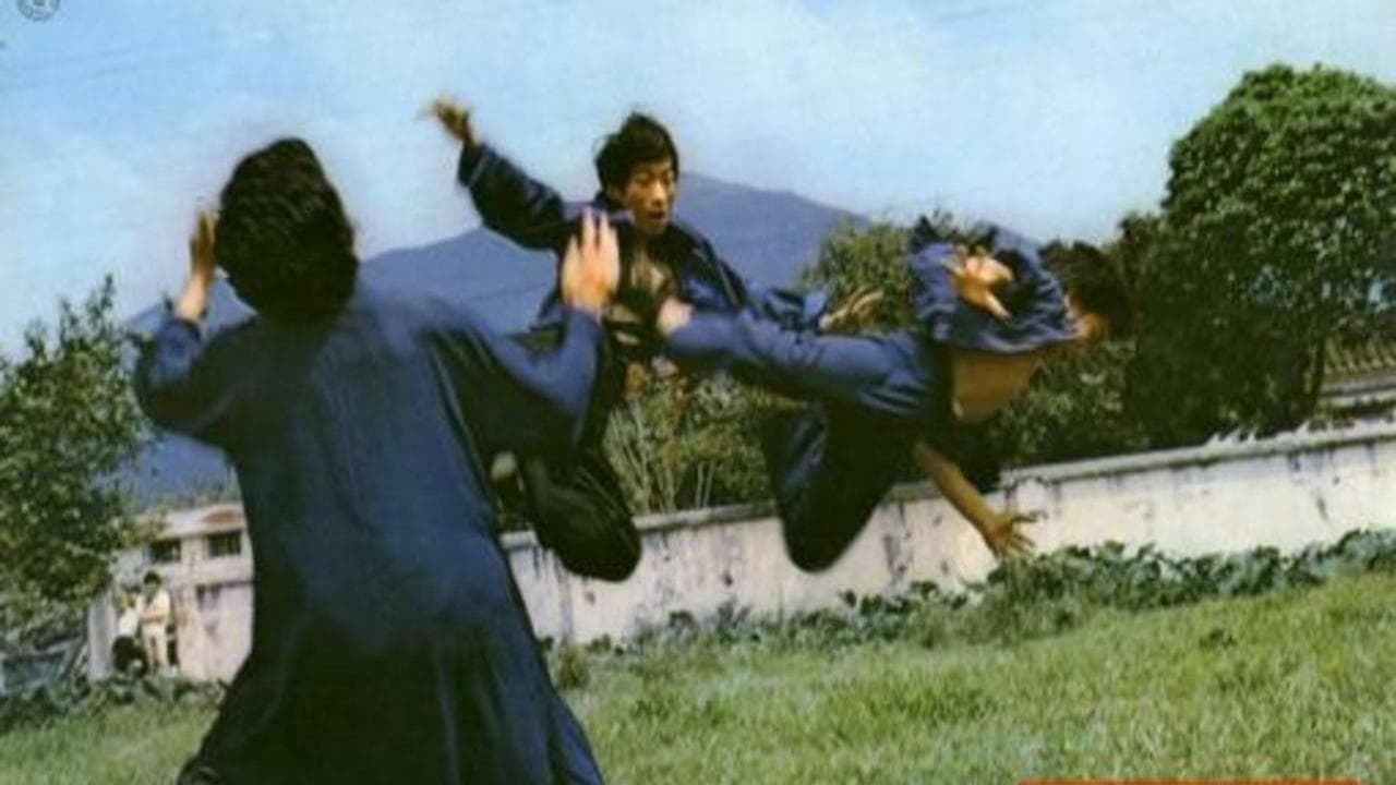 生龍活虎小英雄 (1975)