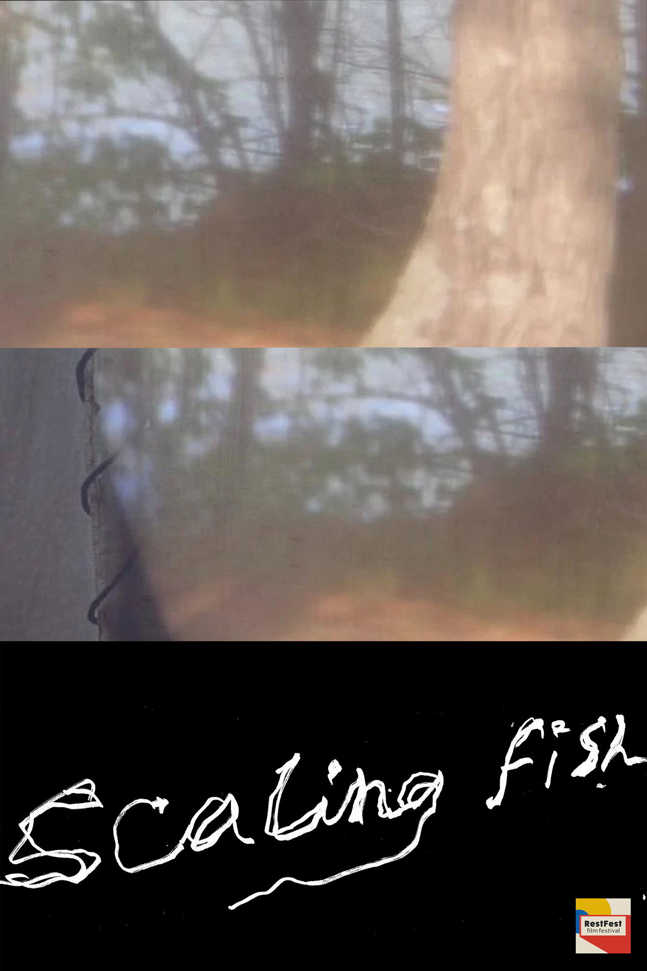 Scaling Fish filmaffisch