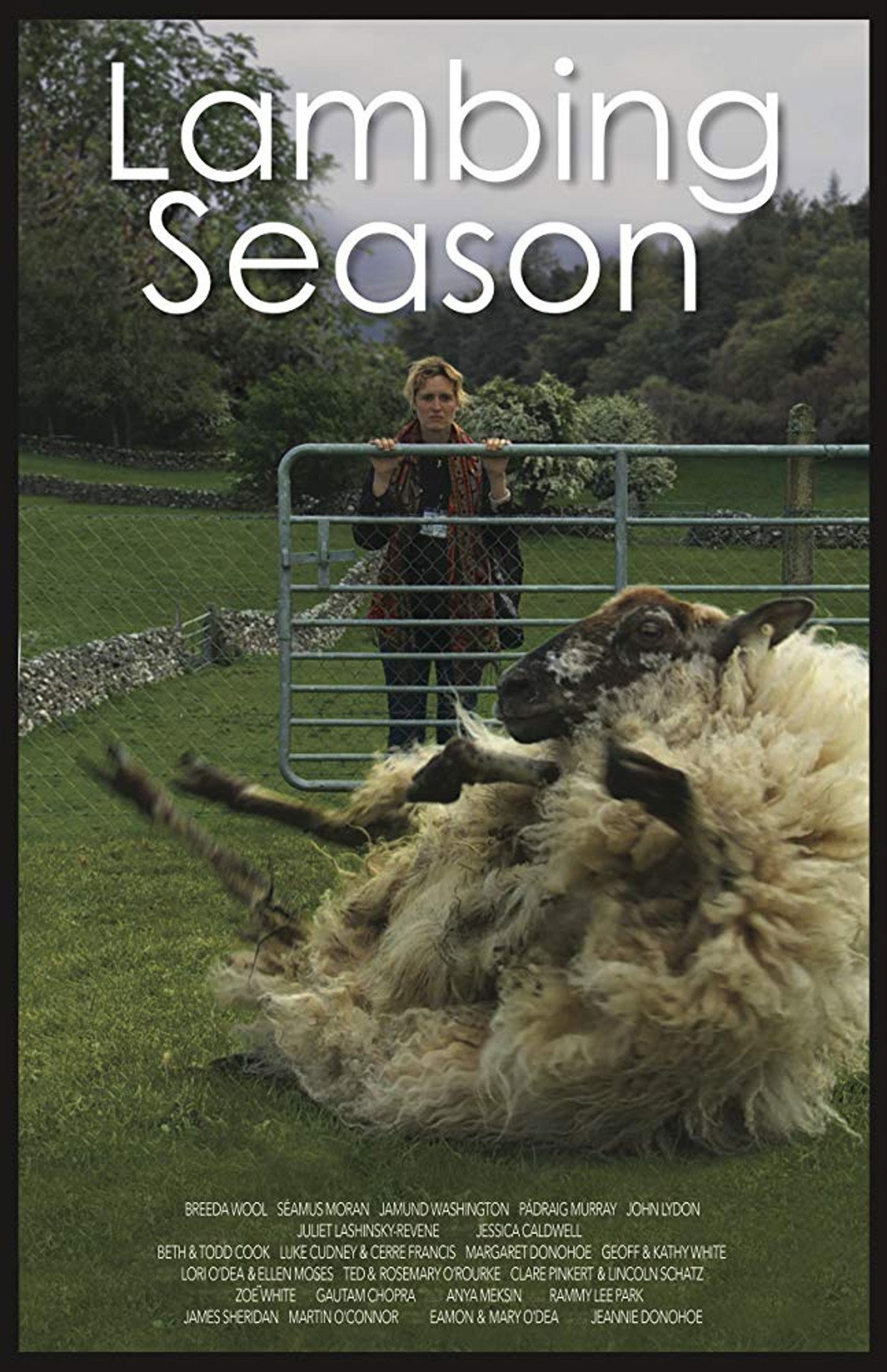Lambing Season filmaffisch