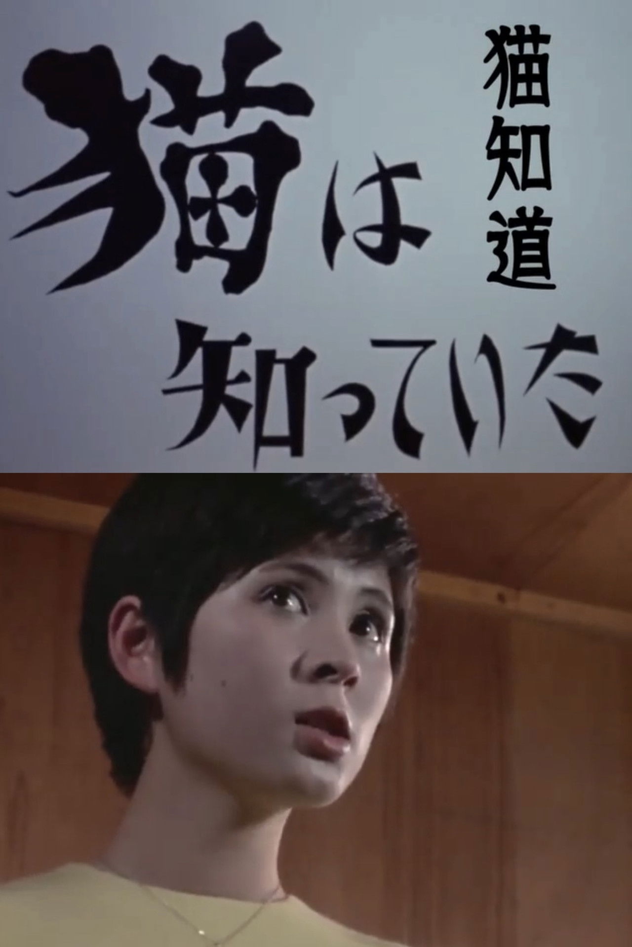 The Cat Knew Backdrop