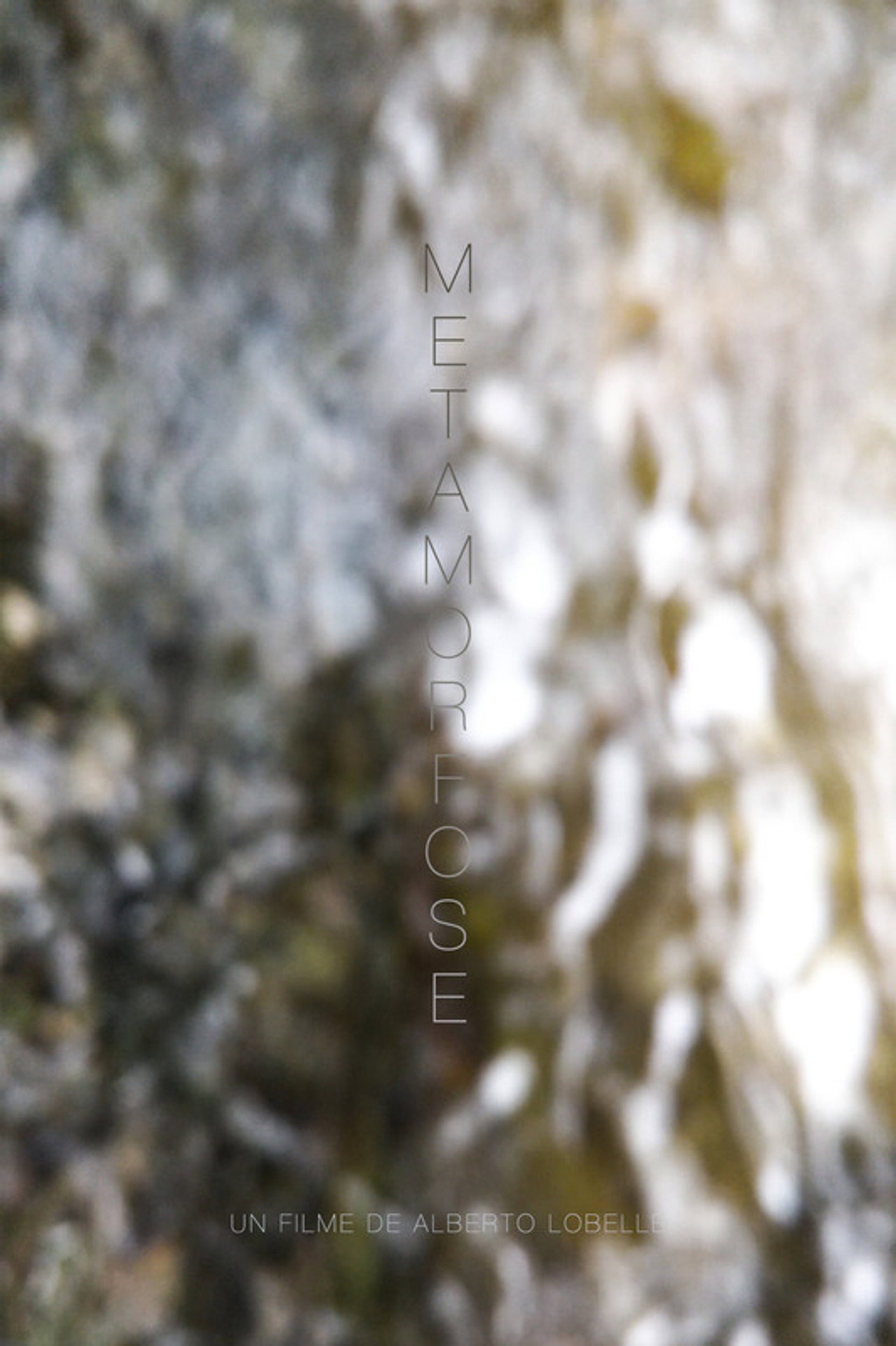 Metamorfose filmaffisch