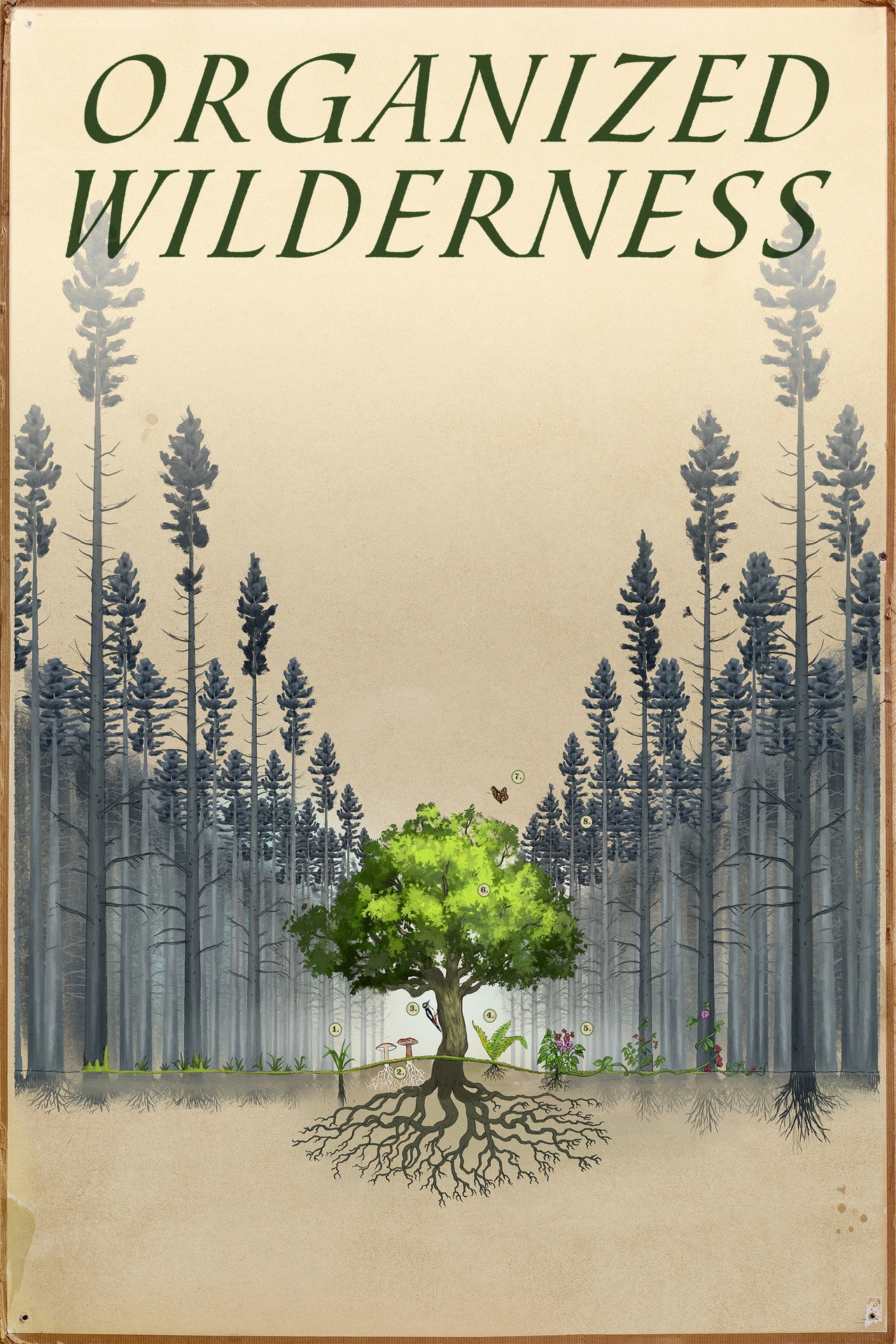 Organized Wilderness filmaffisch